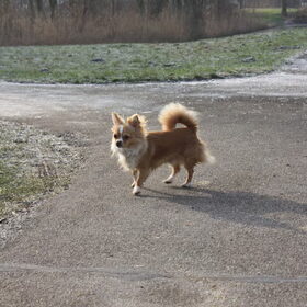 lieve Jay