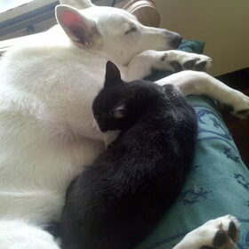 Laila & Parel