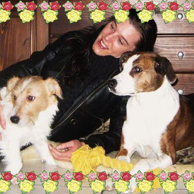 Hondenfoto van Cel, Jacko, Louis en Poes
