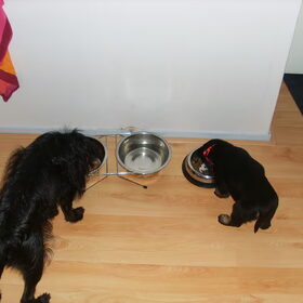 Samen eten!