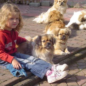 Hondenfoto van  Appie en de tibbies