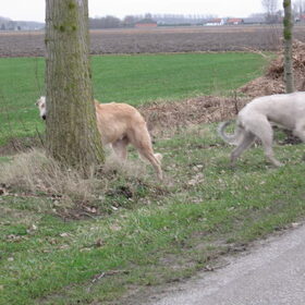 KumBaYah samen met haar vriend Fair.