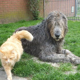 Kalistos samen met Luna.