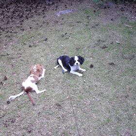 lekker samen spelen!