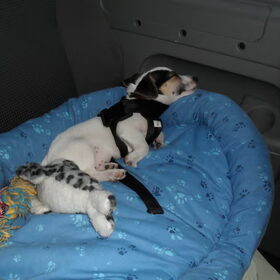 Welterusten!