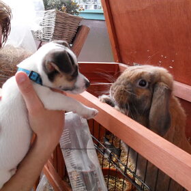 Melo en Sam+.