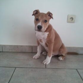 4maanden :)