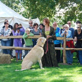 Hank 4-9-2010. Was een geweldig leuke dag.