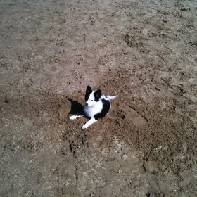 i love sand!!