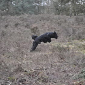 jump