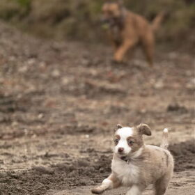 Gentle van Bettina en Hetty