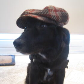 Inspecteur Diva hihihi