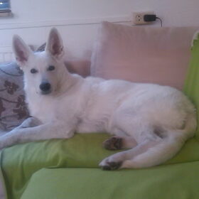 Modelletje ;)