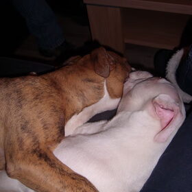We love eachother (L) =D