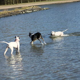 Andor kan over het water lopen haha
