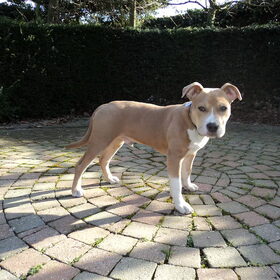 mijn kleine jongen word groot :D ( 5,5maand)