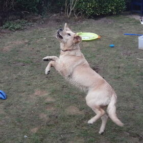 I believe I can flyyyyyy
