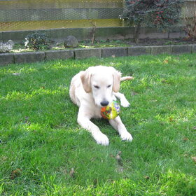 Diaz in de tuin met de kinderen aan het spelen met de bal.