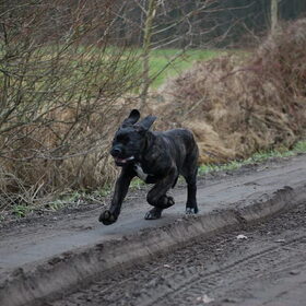 racen