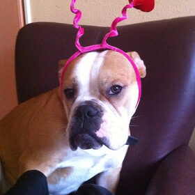Luna doet ook mee aan valentijsdag
