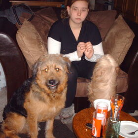 Hondenfoto van liesbeth,Turbo,Luna, Levi en Faith
