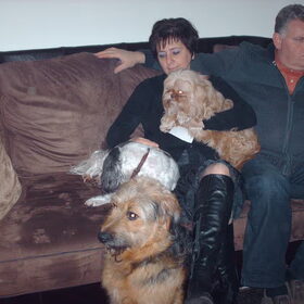Hondenfoto van liesbeth,Turbo,Luna, Levi en Faith