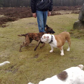 Wandeling Valtherbos