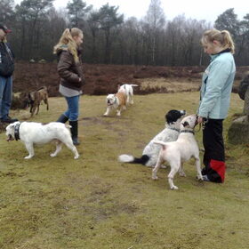 Wandeling Valtherbos