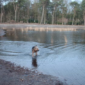 als er water is moet levi er even in......