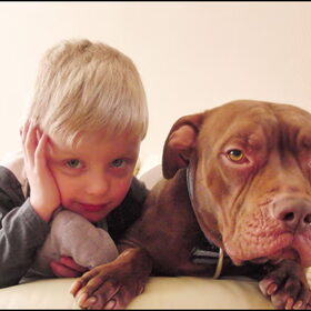 Hondenfoto van priscilla & C.S.C