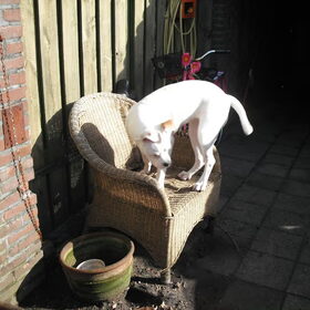 Angel haar stoel