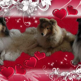 Valentijn 2011