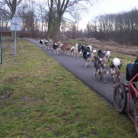 trainen