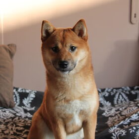 Yuna tijdens haar fotoshoot ^^ kijk eens wat 'n model!