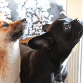 Pebbles en Yuna samen