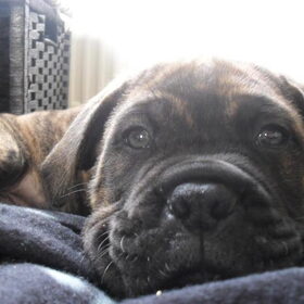 Knapperd!!