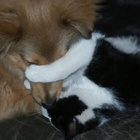 Daisy en Felix zo verliefd........