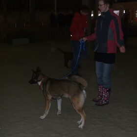 Puppiecursus. Jmmr genoeg niet zo goed te zien. 19-02-2011