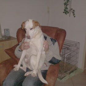 Lekker op schoot knuffelen