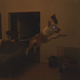 I believe i can fly ...