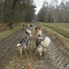 Team Vlaardingen in actie Peel en maas 2011