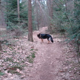 Weekendje weg (5)