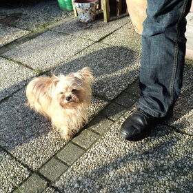 Sascha
