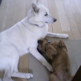Lief!!