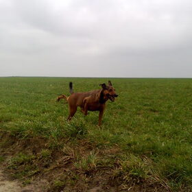 2011 : Kylie doet aan ballet !