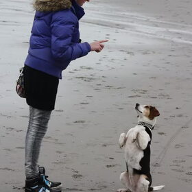roxy mooi zitten op strand