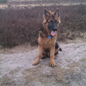 5 maanden