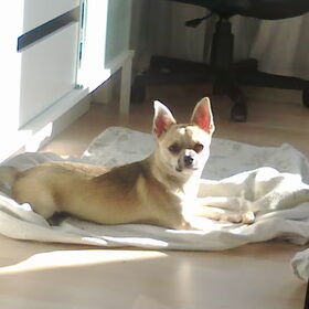 Lekker in de zon!