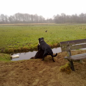 ff lekker ravotten in Jagersplas