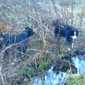 ravotten in jagersplas